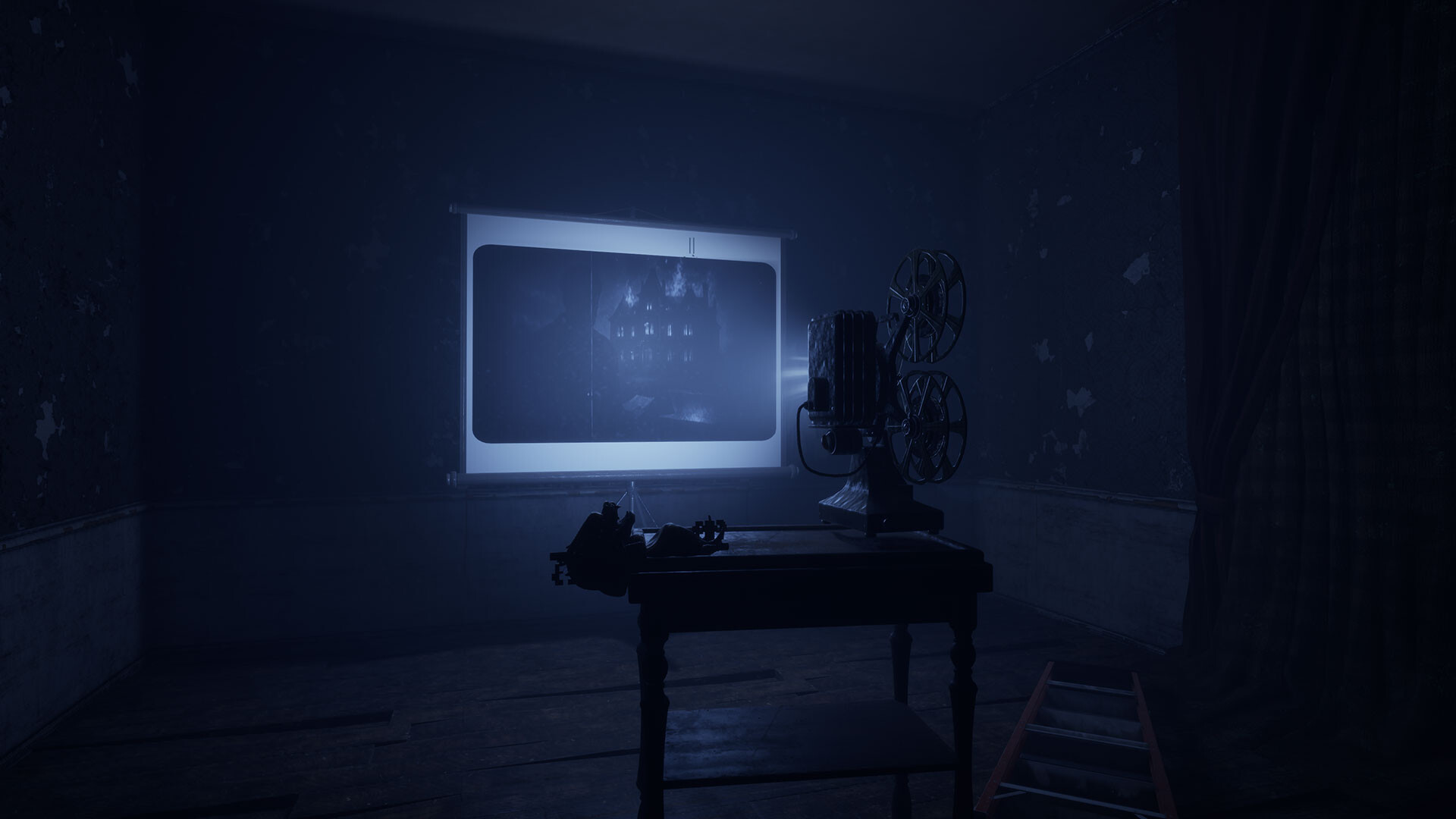 Image 5