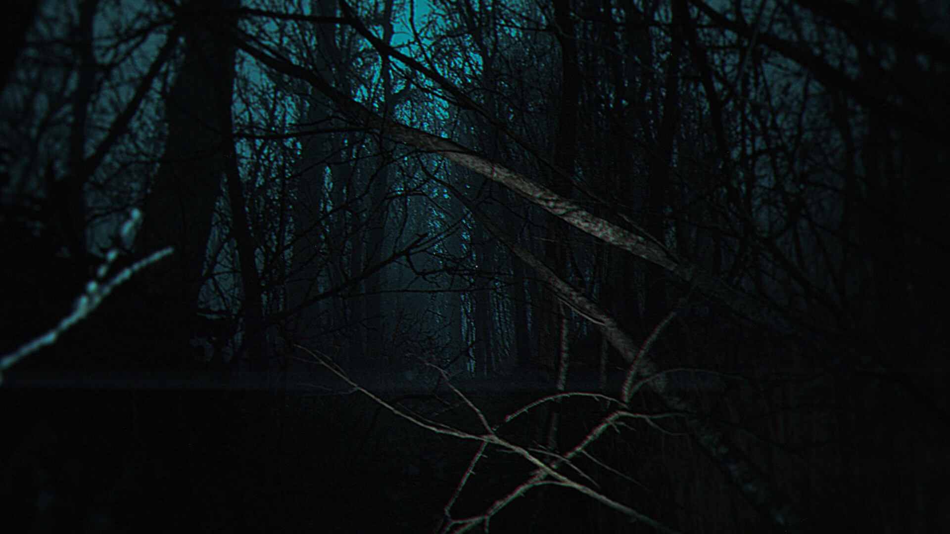 The Strange Lights/The Strange Lights 截图 9