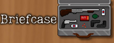 Briefcase 