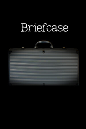 手提箱/Briefcase