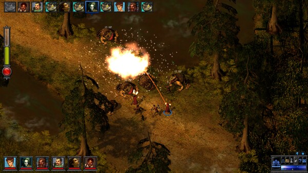 灰鹰：邪恶元素之神殿/The Temple of Elemental Evil - PC平台资源截图 3
