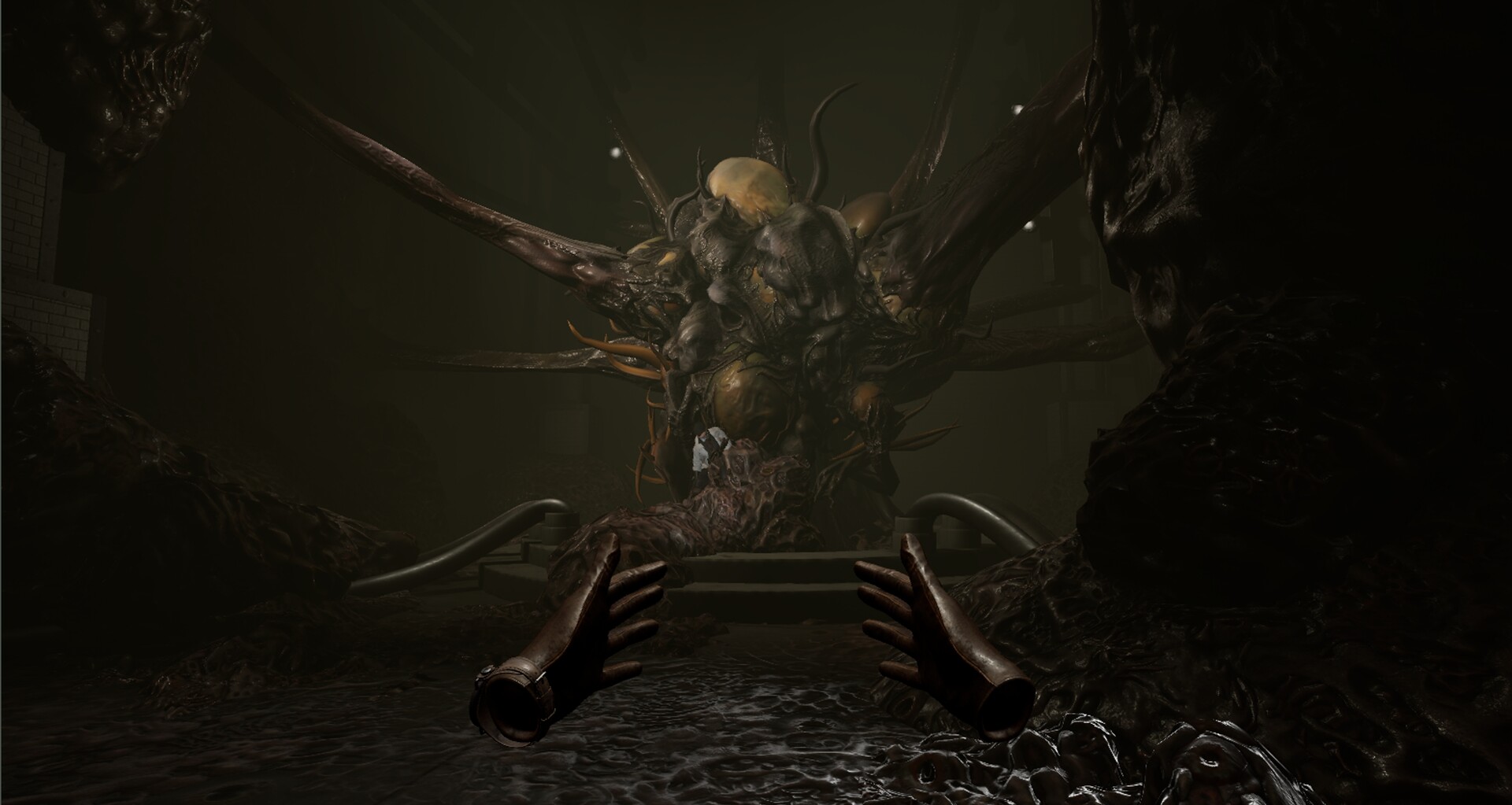 《恐怖子午线 (Dread Meridian)》|中文|免安装硬盘版 《恐怖子午线 (Dread Meridian)》|中文|免安装硬盘版