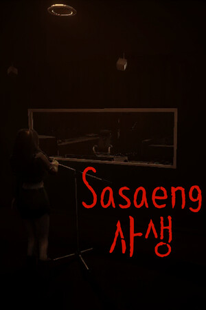 私生饭/Sasaeng