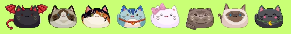 Many Many Cats