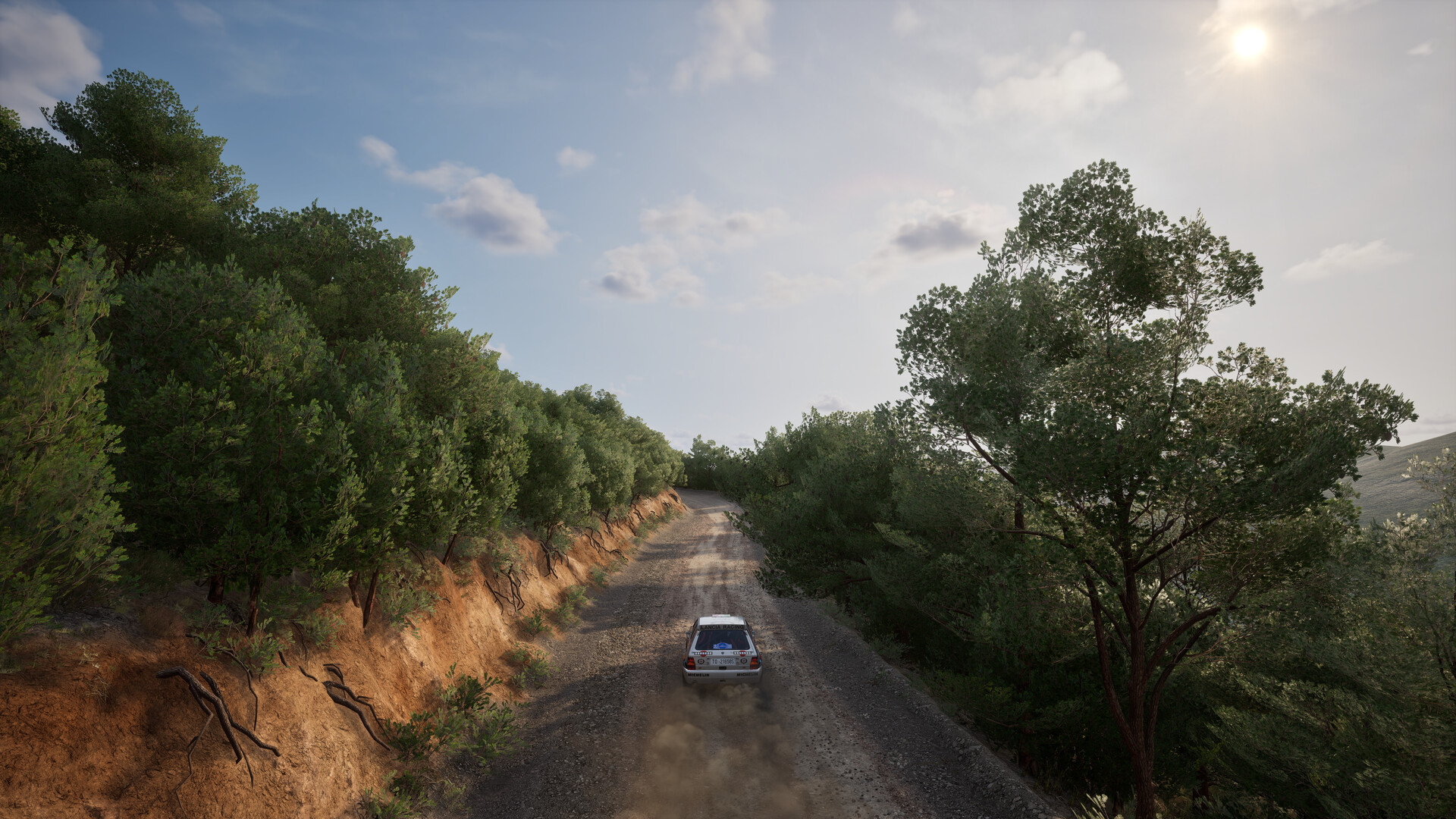 神力科莎：拉力|官方中文|支持手柄|Assetto Corsa Rally - 10