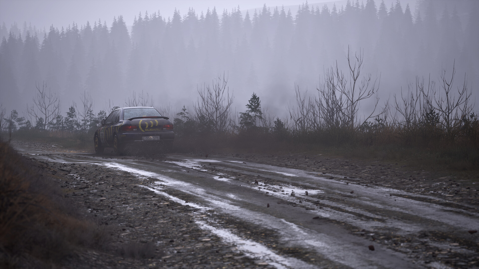 神力科莎：拉力|官方中文|支持手柄|Assetto Corsa Rally - 20