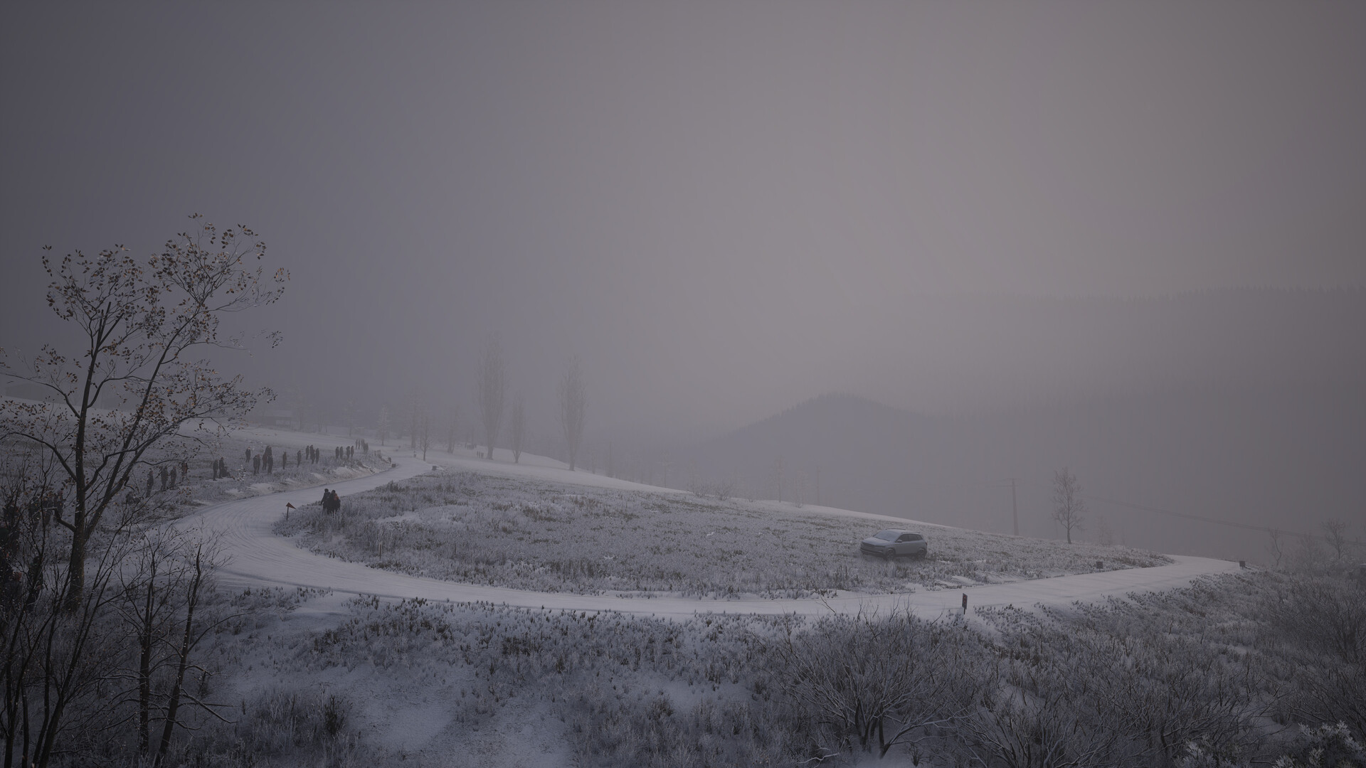 Image 37