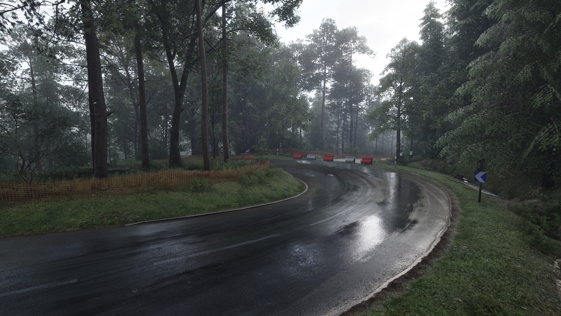 图片[43] • 《神力科莎：拉力/Assetto Corsa Rally》Build.20801254|容量21.4GB|官方简体中文|支持键盘.鼠标.手柄 • BUG软件