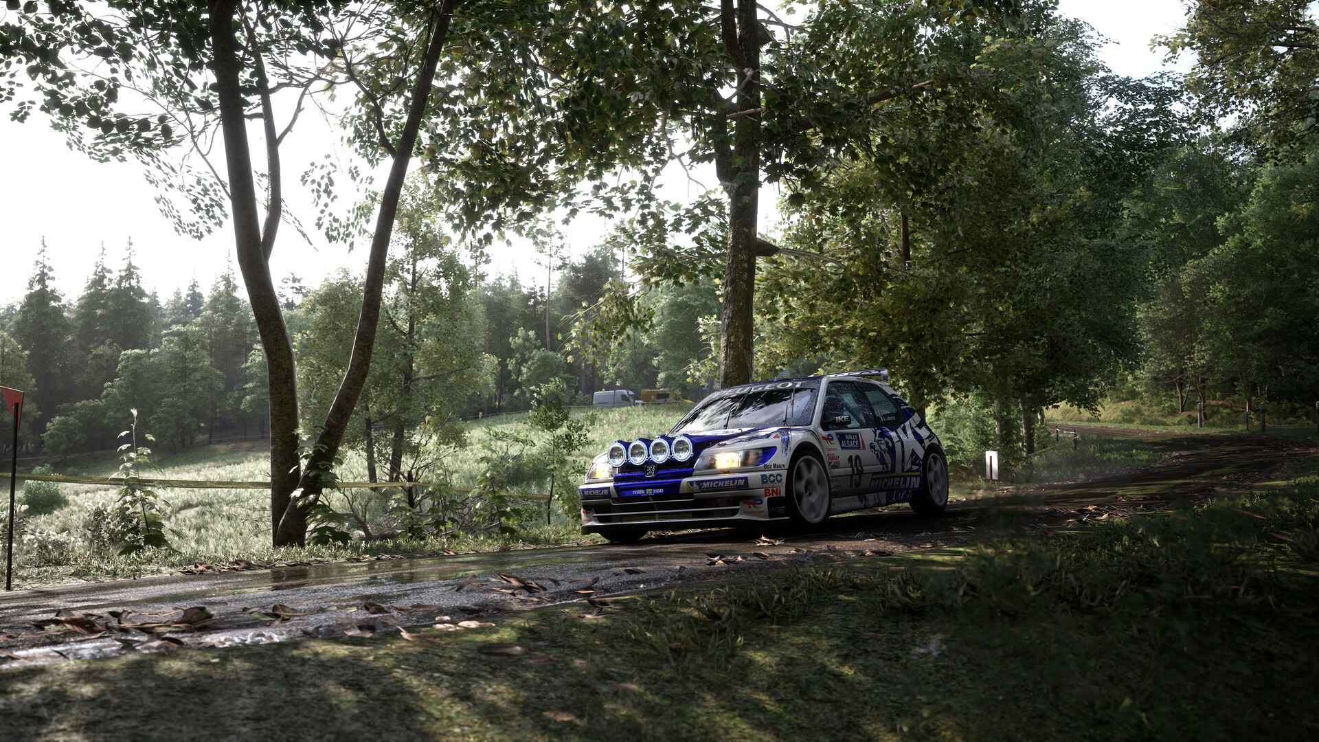 神力科莎：拉力|官方中文|支持手柄|Assetto Corsa Rally - 17