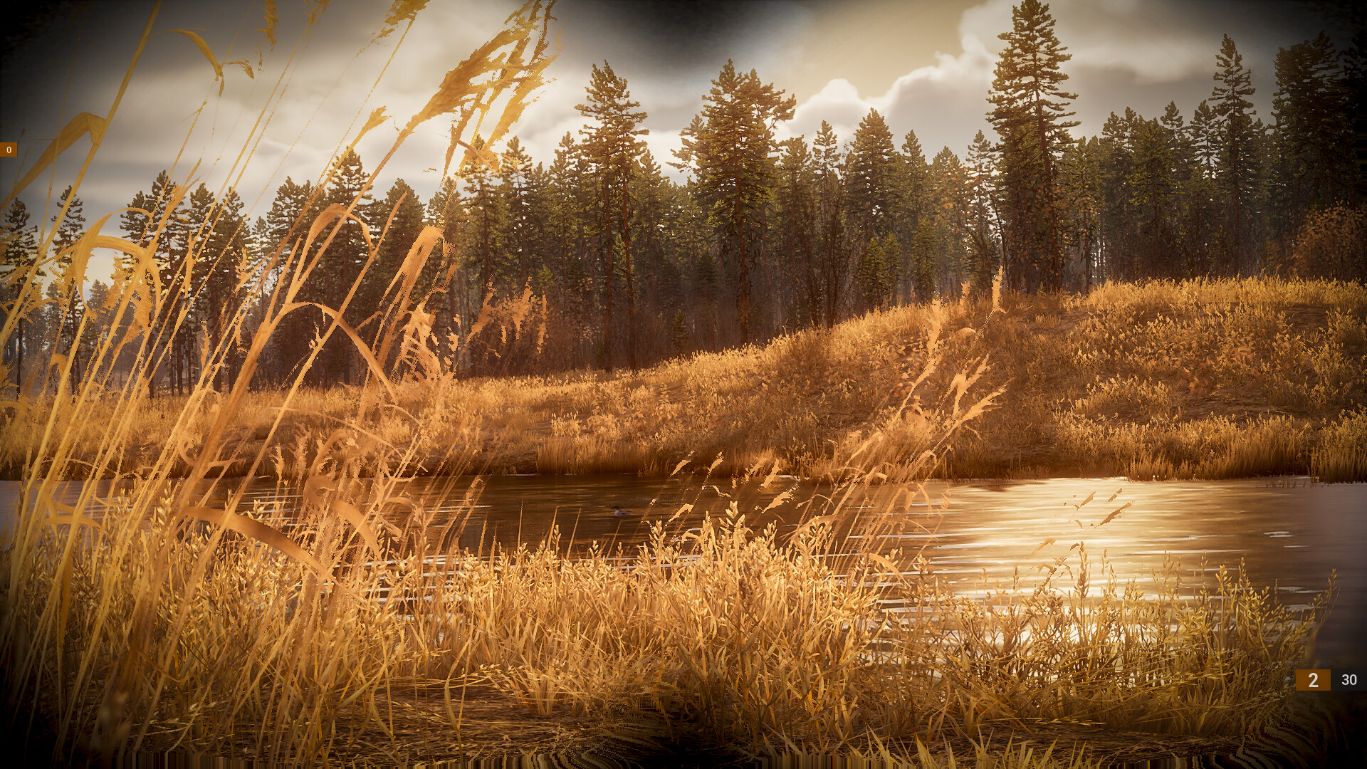 BULT：狩猎模拟器|官方英文|BULT: Hunting simulator - 12