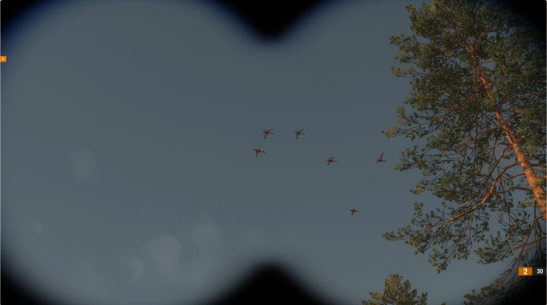 BULT: Hunting simulator 截图 10