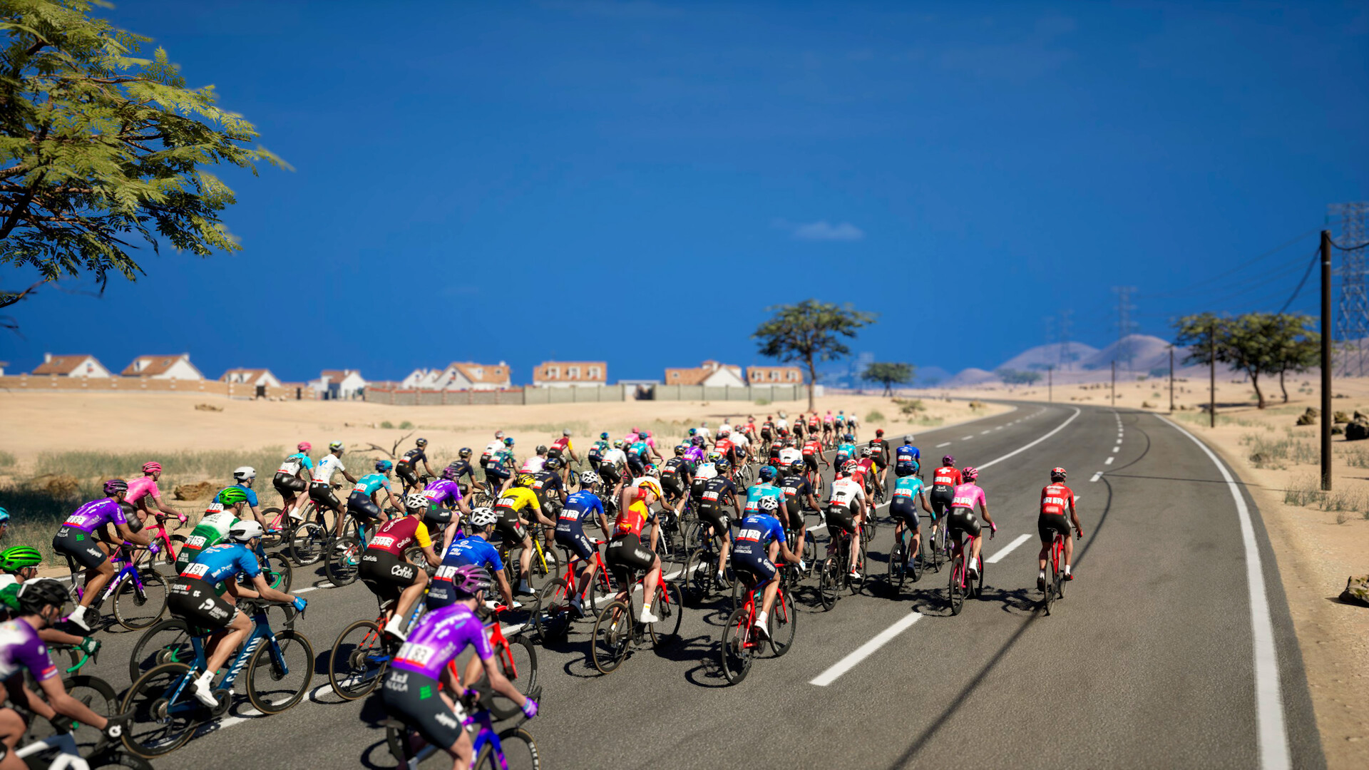 环法自行车赛2026/Tour de France 2026 - 10