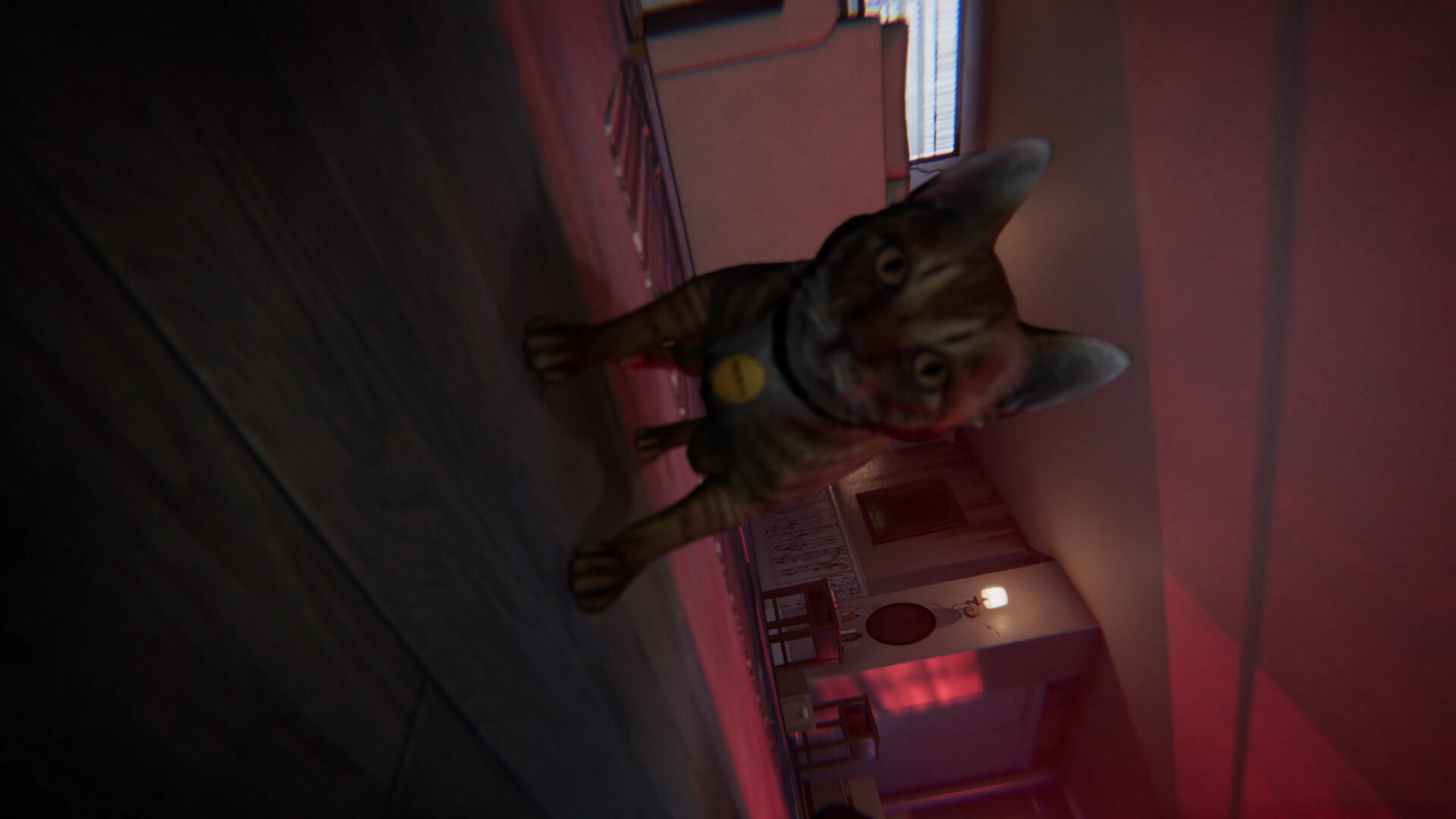 ss_a62079073c7b2a9f660a40535040987f66d66451.1920x1080