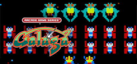 ARCADE GAME SERIES: GALAGA/街机游戏系列：大蜜蜂