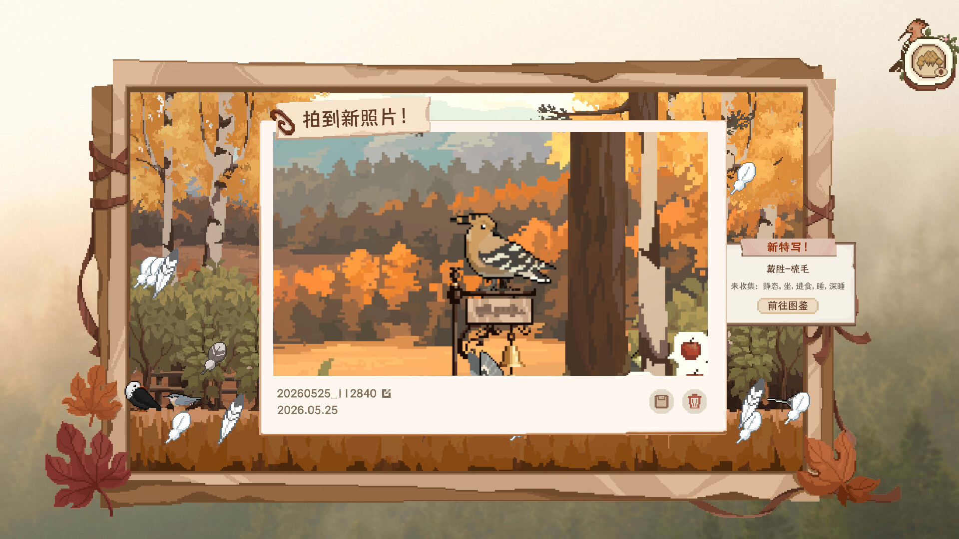 观鸟笔记|官方中文|Birdwatching Notebook - 7