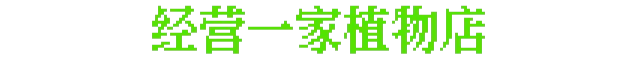 午夜植物铺/The Plant Shop插图 午夜植物铺/The Plant Shop插图