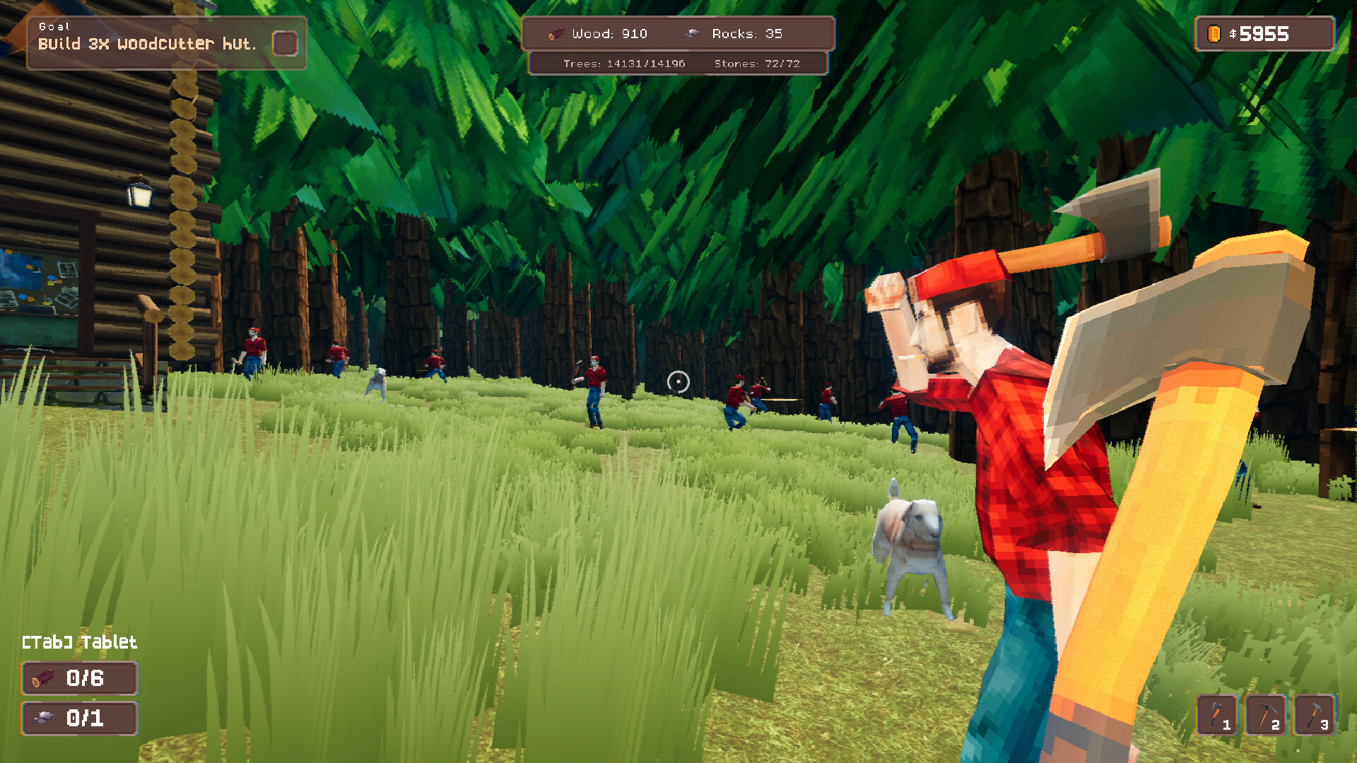 Image 11