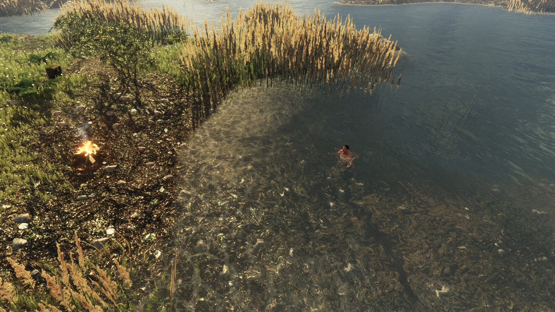 Image 41