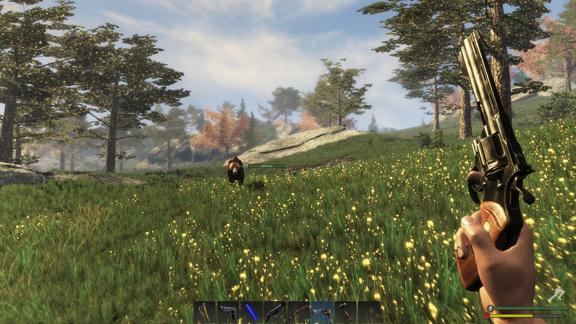 Image 39