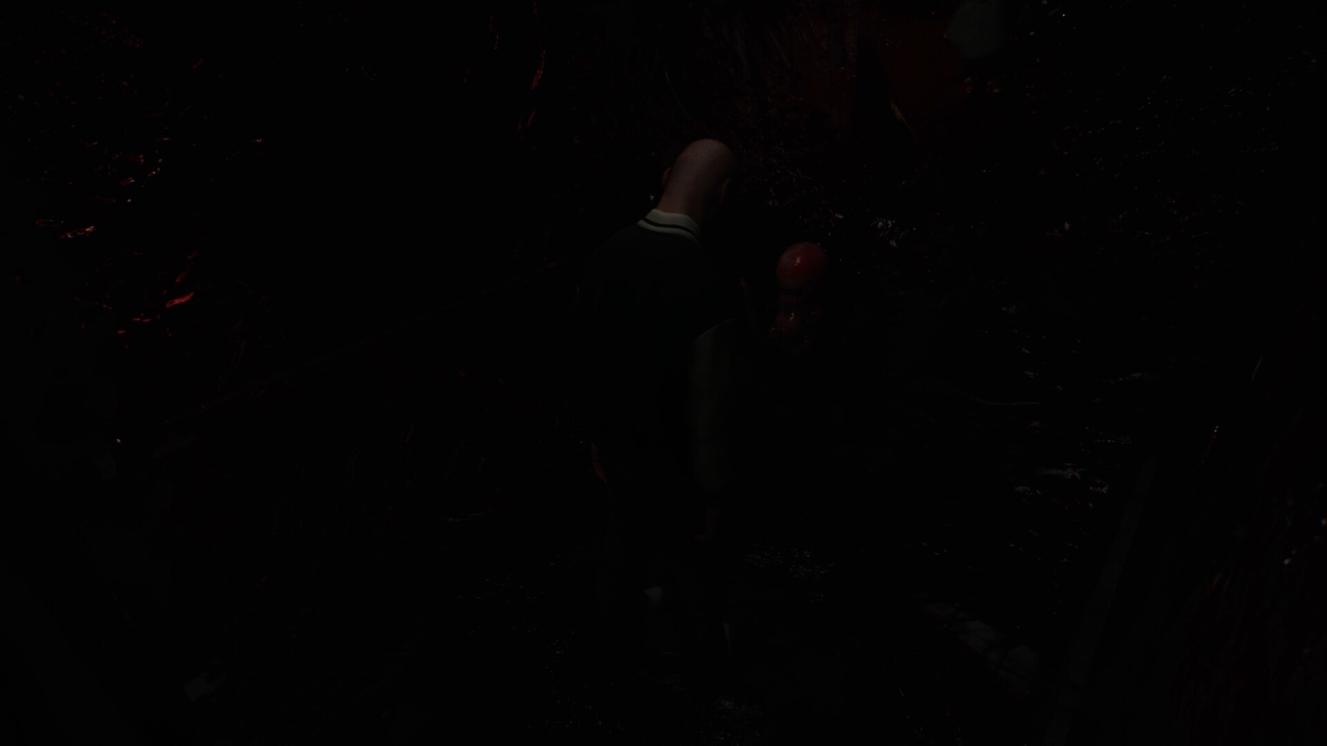 迷失于声音中/Lost in Voice插图