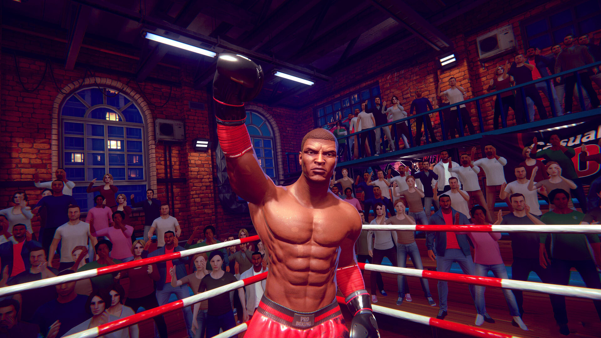 《休闲运动系列：拳击(Casual Sport Series: Boxing)》|Build 22161345|中文|免安装硬盘版