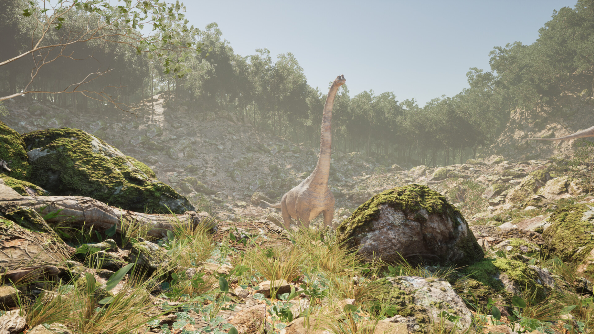 灭绝森林/Extinct Forest 截图 6