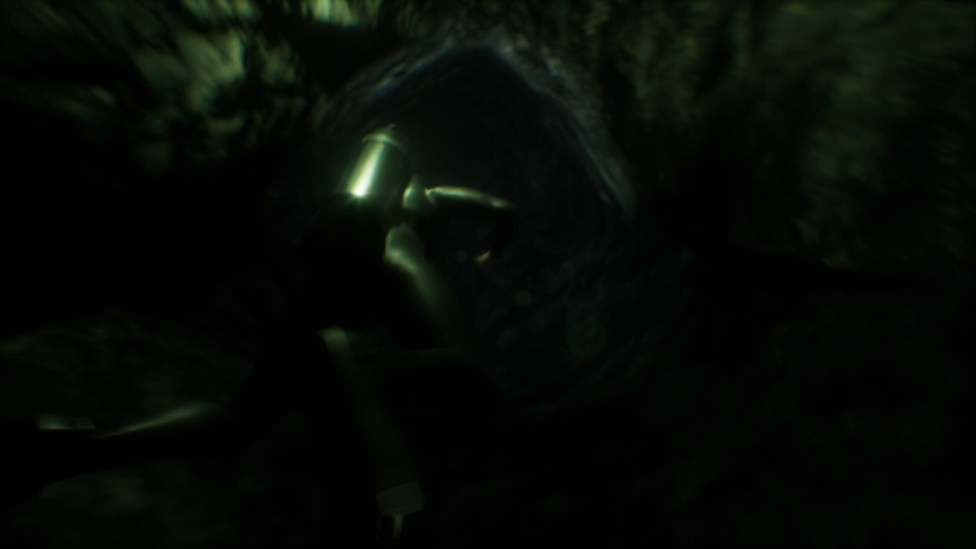 图片[10]-恐怖洞穴潜水（Scary Cave Diving）Build.24234376 免安装中文版下载-蒸汽游戏宝库 - 高质量Steam单机游戏下载站