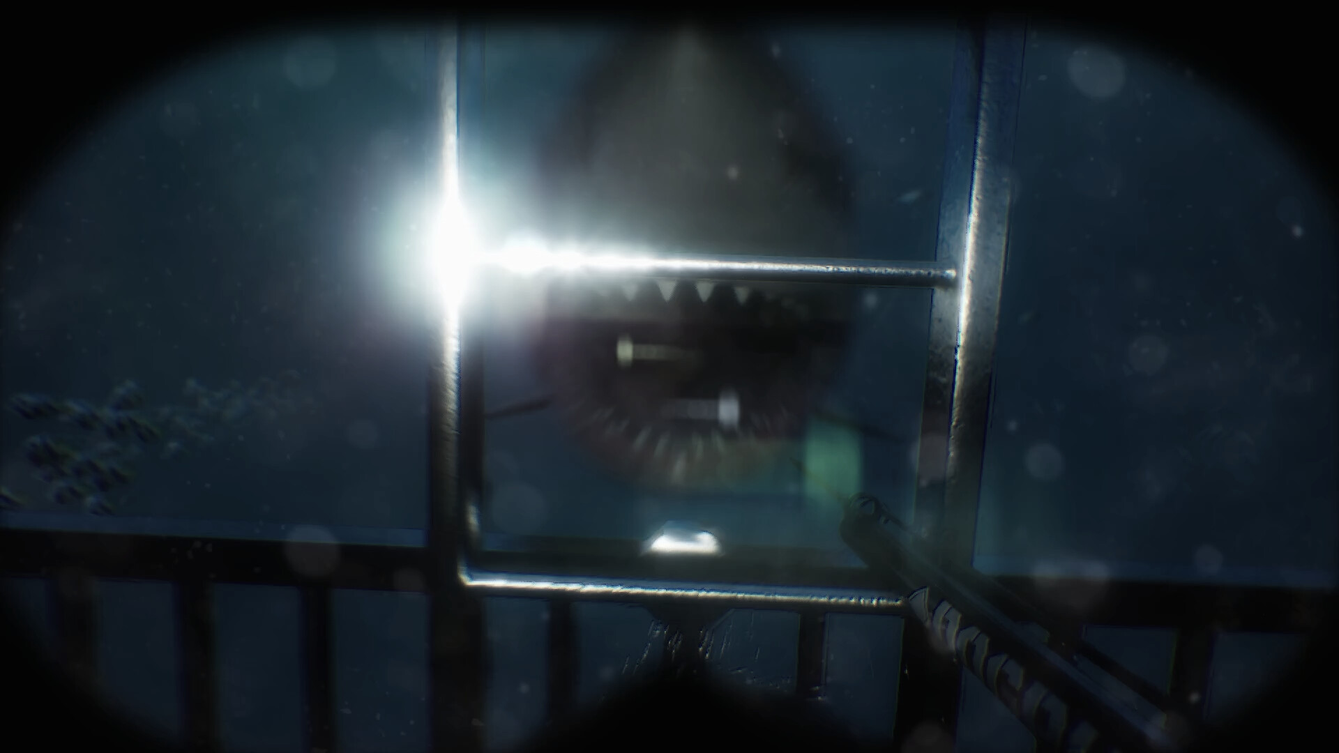 图片[7]-恐怖洞穴潜水（Scary Cave Diving）Build.24234376 免安装中文版下载-蒸汽游戏宝库 - 高质量Steam单机游戏下载站