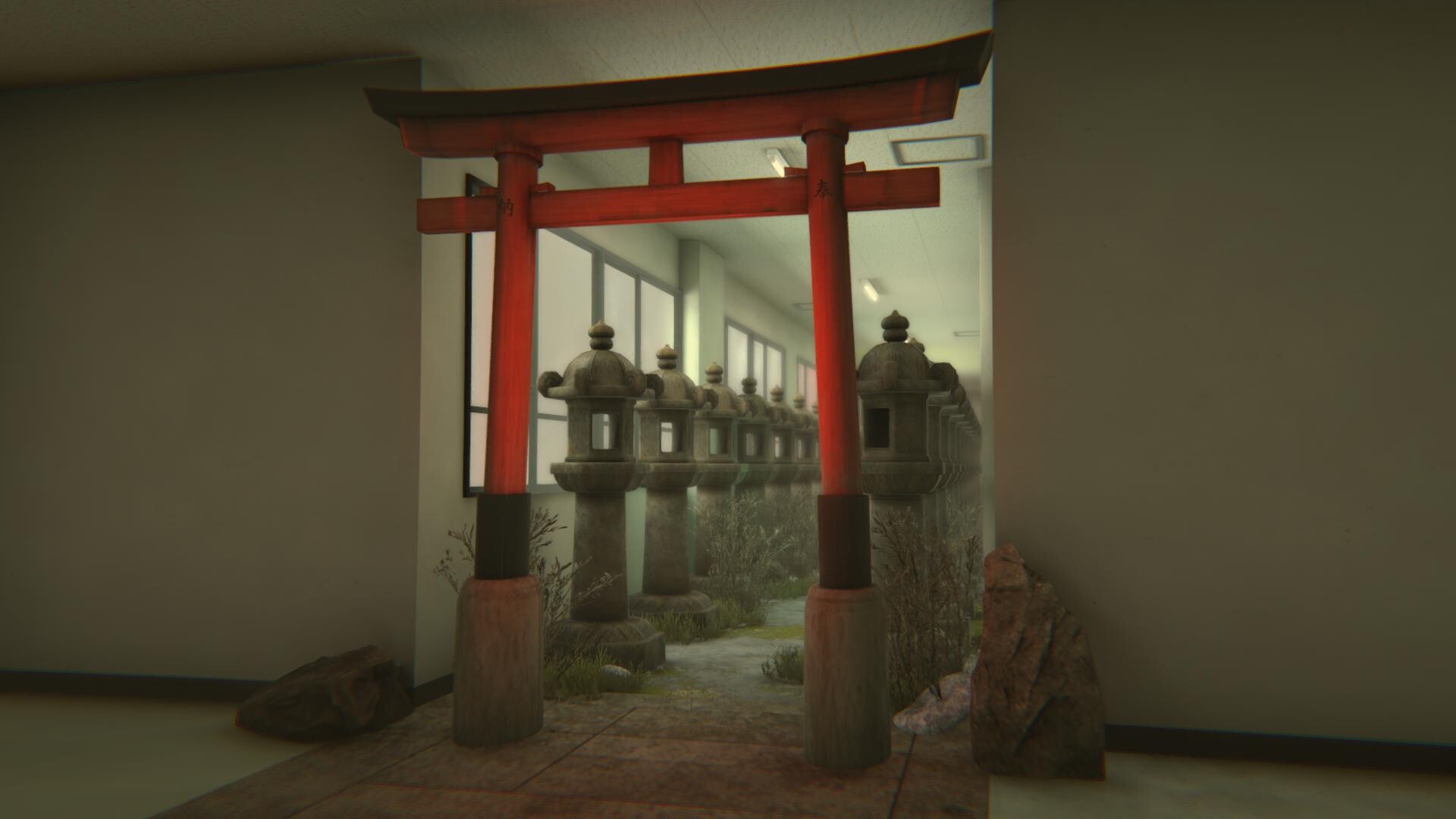 Image 5