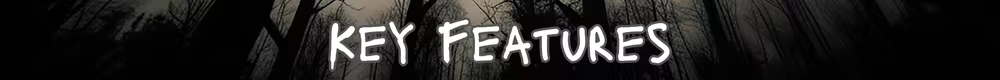 第13区：闹鬼森林|Sector 13: Haunted Woods|v1.0.4|官方中文|容量15.72G插图4APXGAME