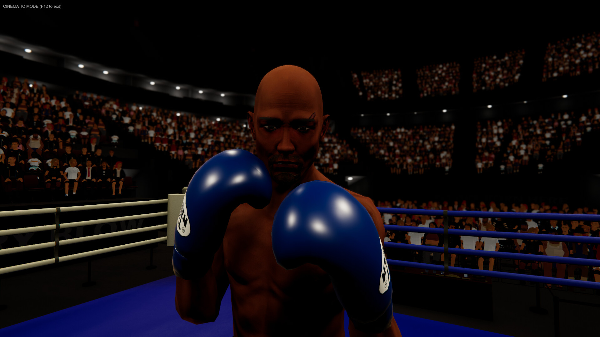 图片[7]-拳台王者：拳击大亨（Corner King: Boxing Tycoon）Build.24880798 [中文][1.12G]-极客游戏