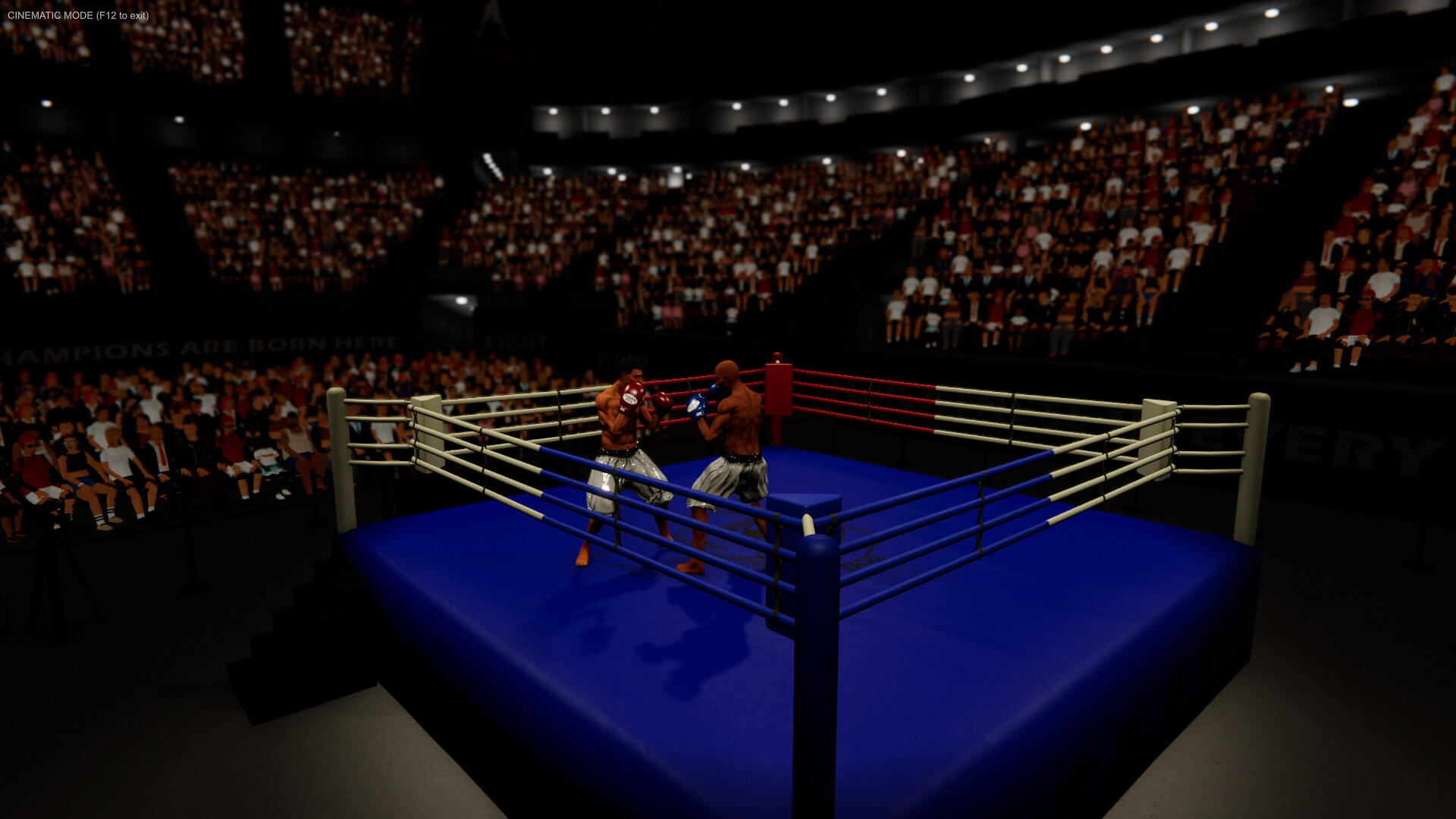 拳台王者：拳击大亨|官方中文|Corner King: Boxing Tycoon - 19