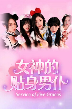 女神的贴身男仆-单机岛