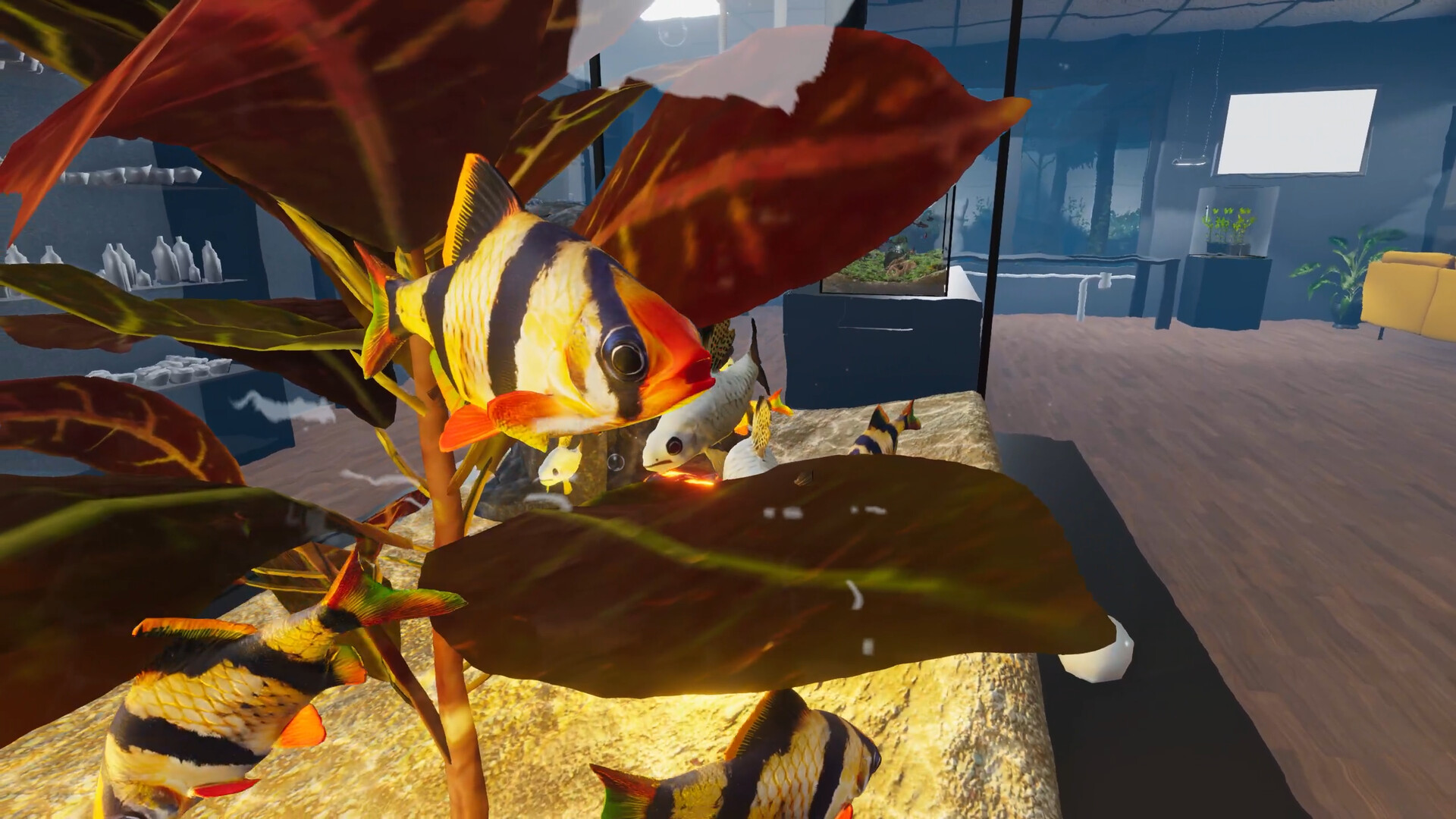 《建造水族馆,繁殖鱼类,拓展你的业务(Aquarist)》|Build 23511129+全DLC|中文|免安装硬盘版 《建造水族馆,繁殖鱼类,拓展你的业务(Aquarist)》|Build 23511129+全DLC|中文|免安装硬盘版