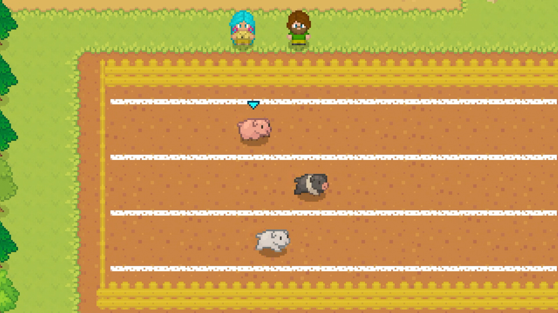 Image 7
