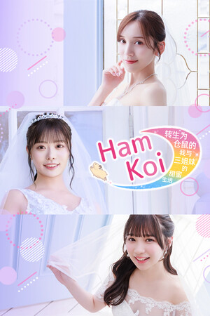 HamKoi 转生为仓鼠的我与三姐妹的甜蜜生活 免安装中文版下载|MOD修改器存档 - 单机岛