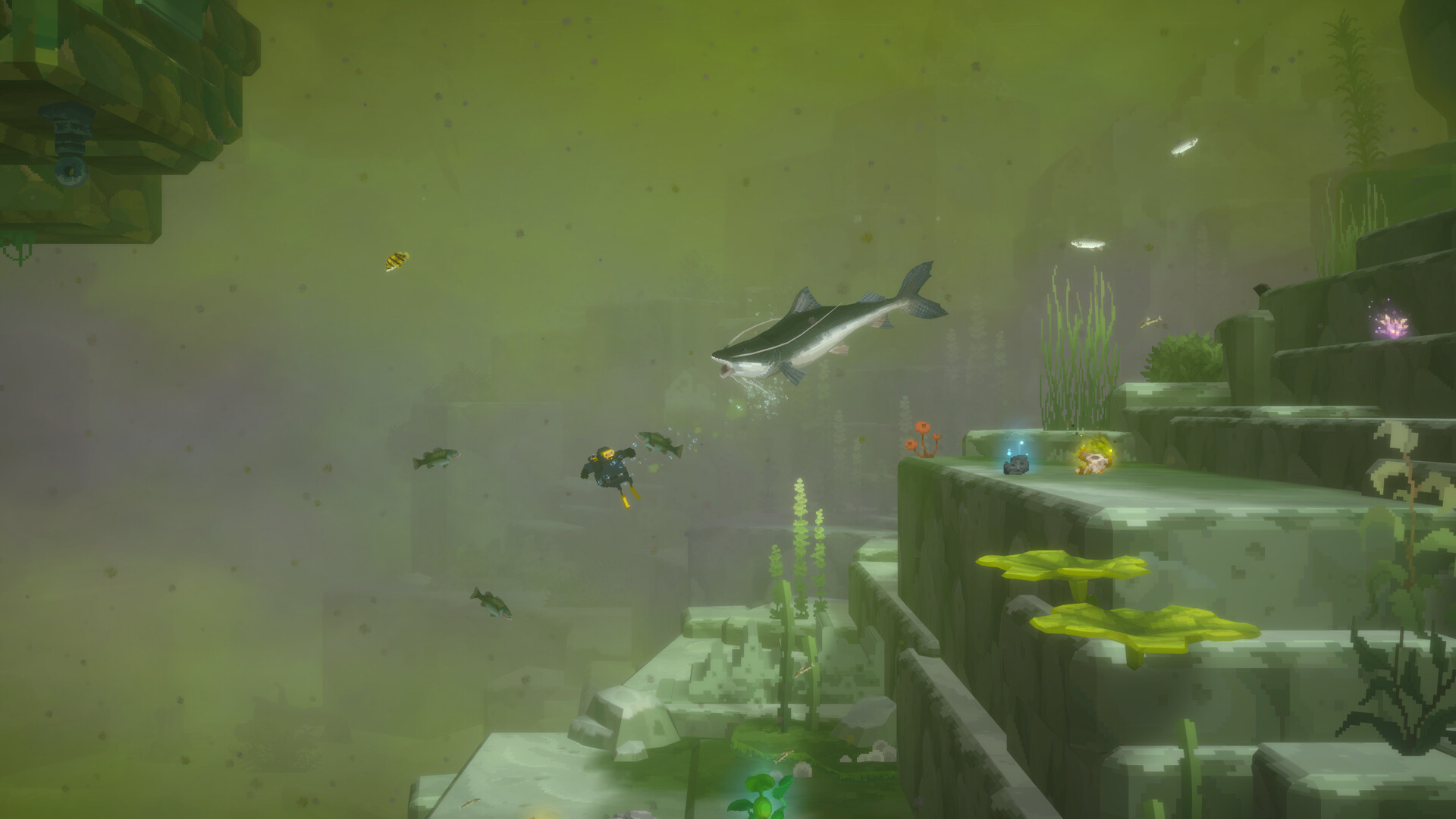图片[9]-潜水员戴夫（DAVE THE DIVER）v1.0.6.2087 免安装中文版下载-蒸汽游戏宝库 - 高质量Steam单机游戏下载站