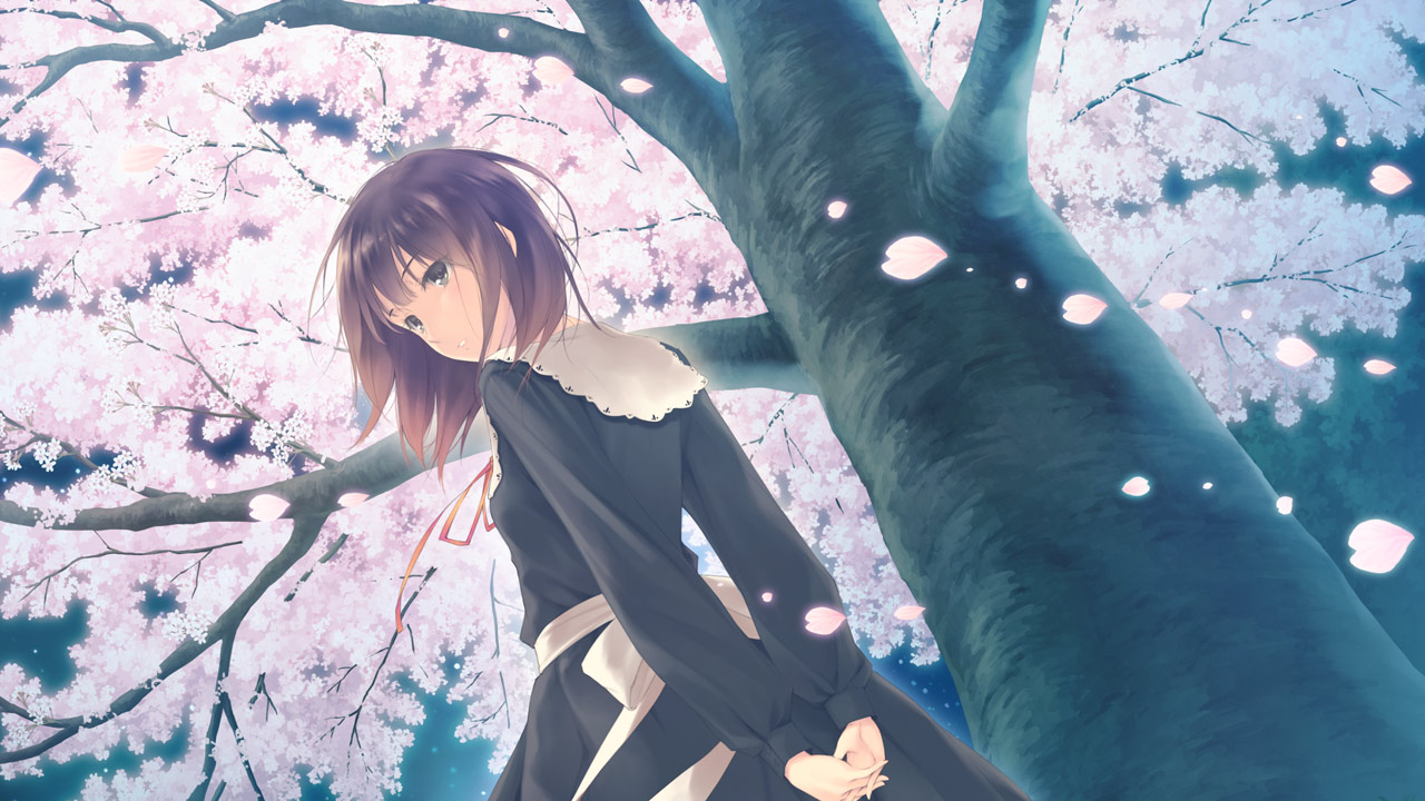 花：春篇/Flowers - 春篇/Flowers -Le volume sur printemps- - 8