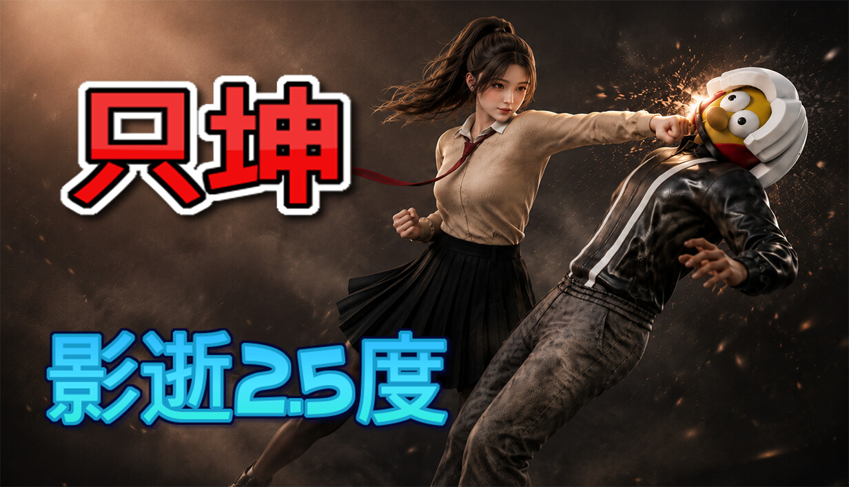 只坤：影逝2.5度/Parry Survivor