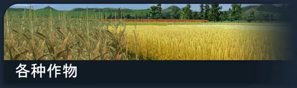 农场经理2018/Farm Manager 2018插图