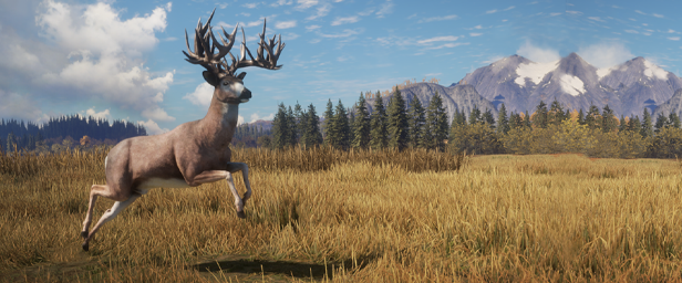 图片[4]-猎人：野性的呼唤/theHunter: Call of the Wild（更新v2703646—更新大口径武器包DLC）-秋风资源网