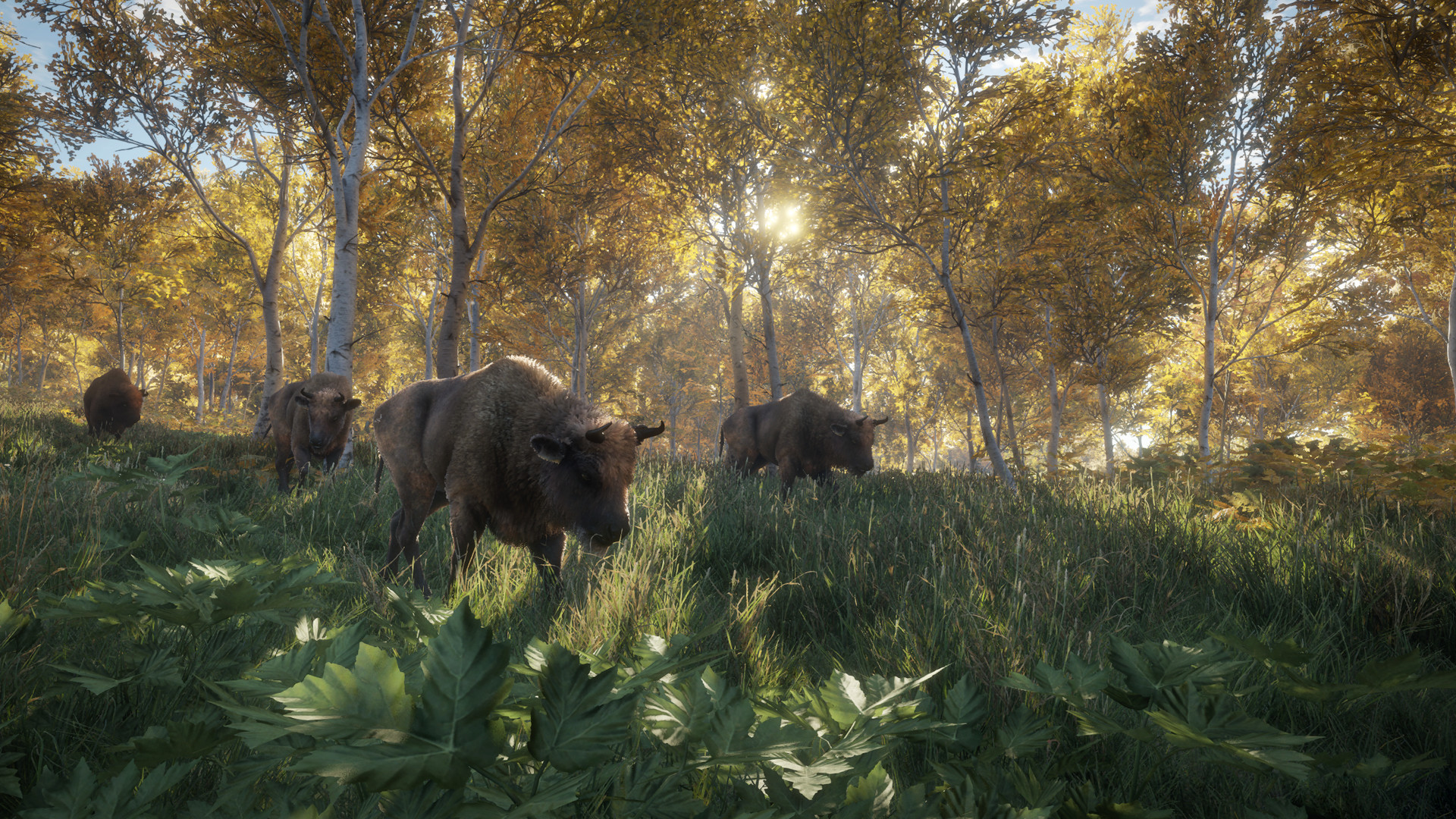 图片[5]-猎人：荒野的召唤终极版 萨尔茨维森 | theHunter: Call of the Wild – Salzwiesen Park-Agame游戏中心