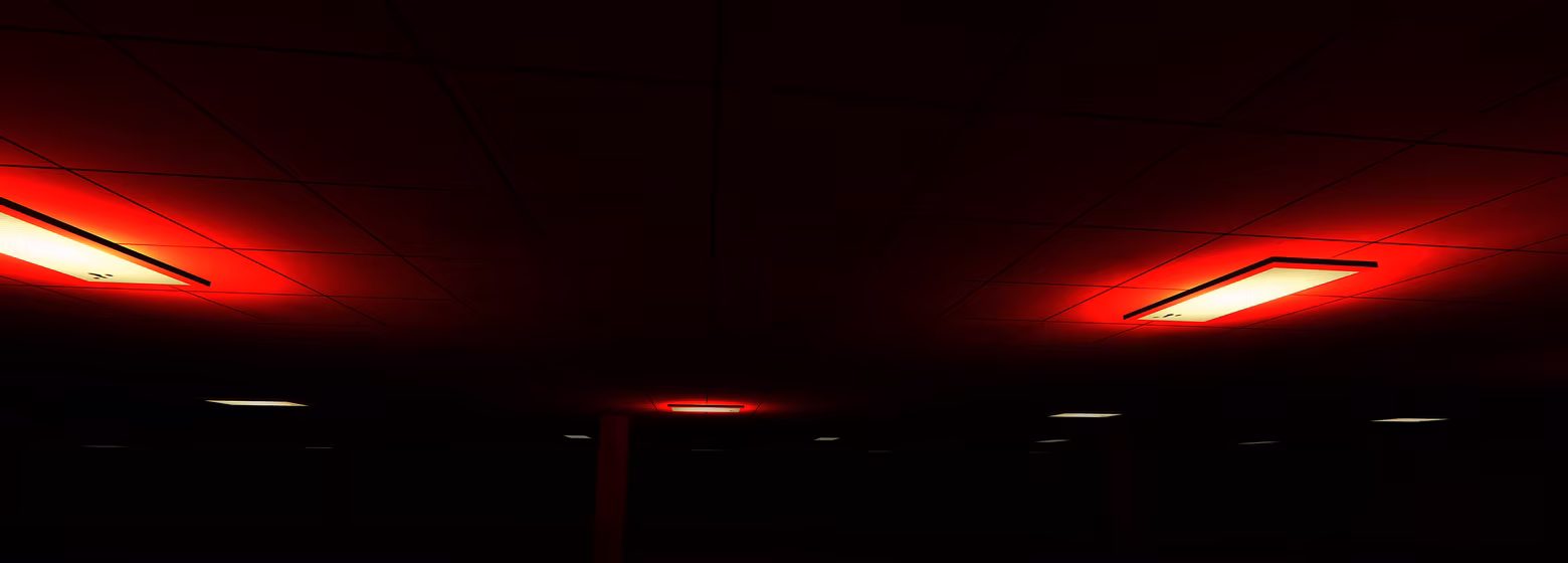后室冒险|Backrooms Adventure|Build.25927366|官方中文|容量563M插图2OKDLC