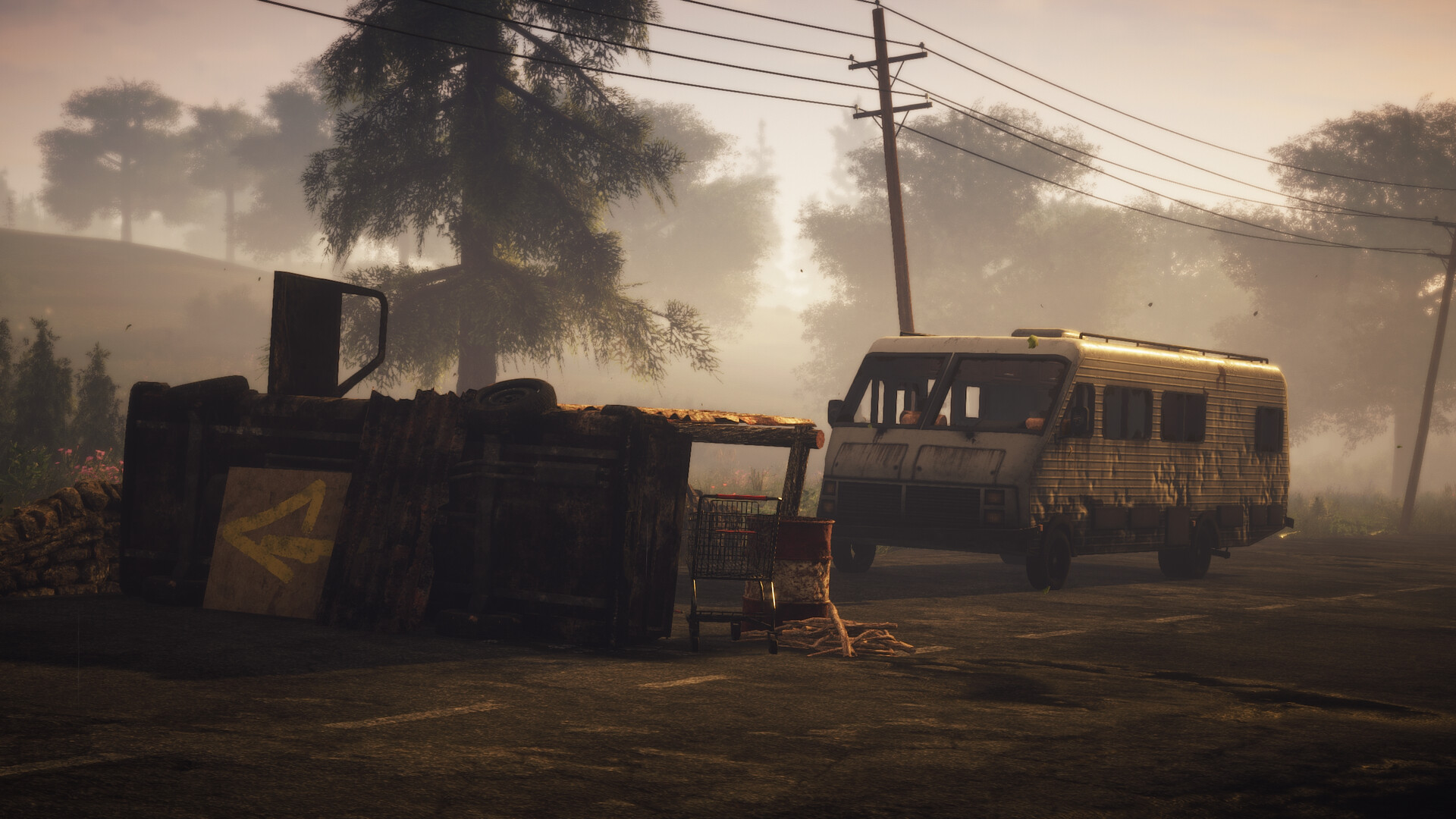 Image 19