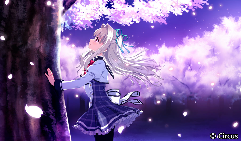 初音岛3R|官方中文|Da Capo 3R - 2