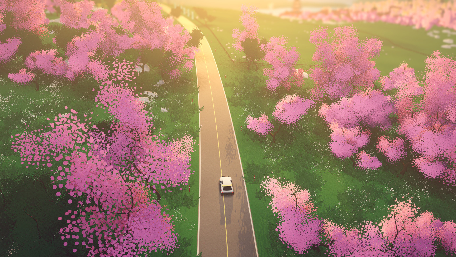 拉力赛艺术|v1.4.4a|官方中文|支持手柄|art of rally|越野艺术 - 6