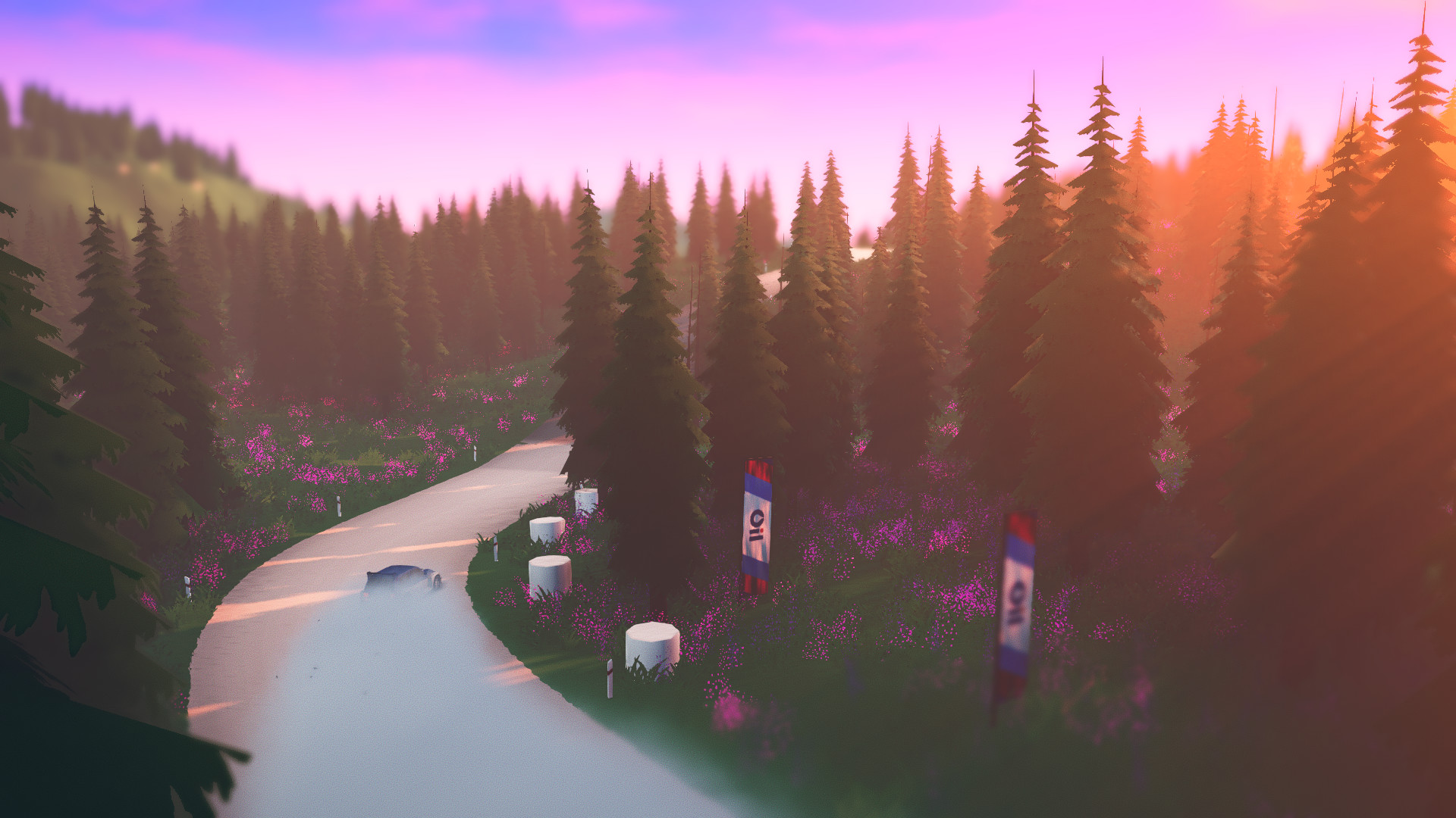 拉力赛艺术|v1.4.4a|官方中文|支持手柄|art of rally|越野艺术 - 5