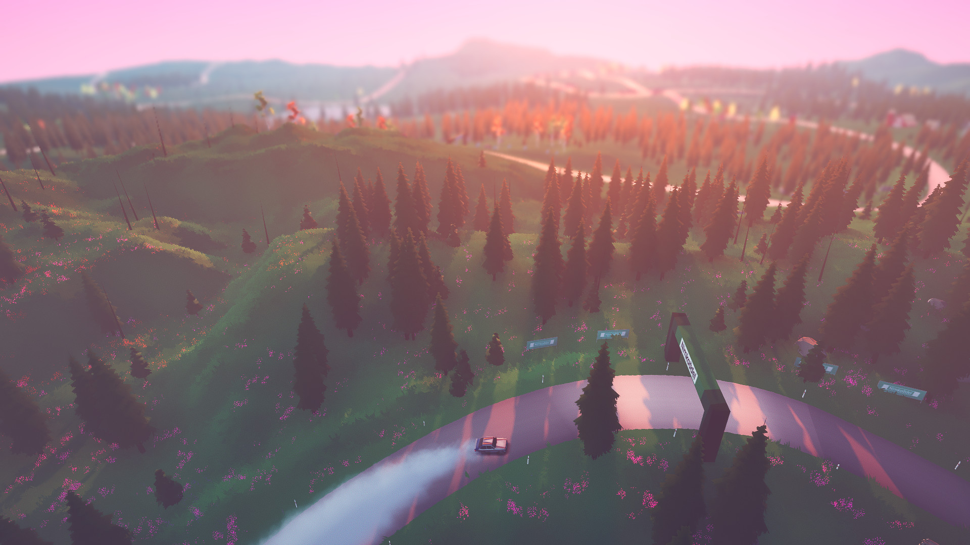 拉力赛艺术|v1.4.4a|官方中文|支持手柄|art of rally|越野艺术 - 13