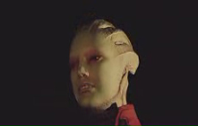 Video 2