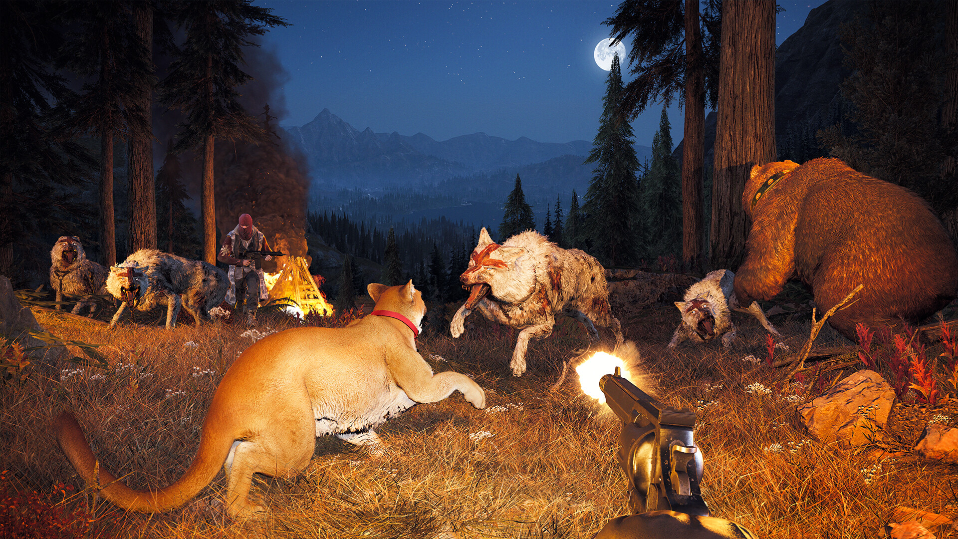 孤岛惊魂5：黄金版|官方中文|支持手柄|Far Cry5 – Gold Edition - 6